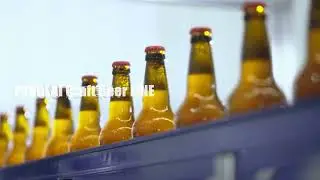 Craft beer production bottling line