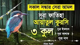 সকাল সন্ধ্যার গুরুত্বপূর্ণ আমল সূরা ফাতিহা আয়াতুল কুরসি ৩কুল | Sura Fatiha Ayatul kursi 3qul |