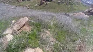 Old Clip- 3/20/18: Box Springs Mtn Park- Hiking Ridge S.E. of Box Springs Mountain Peak Pt. 2/2