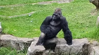 Visiting San Francisco Zoo