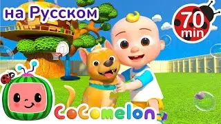 Куда Убежал Пес? | Детские Песенки CoComelon