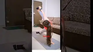 #longhair pulling #longhair pulling #live hair #haryanvi #shorts #mika #tamil #trending #billionaire