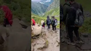#himalayanTrekking &bull; #HikingHimalayas &bull; #AdventureHimalayas &bull; #TrekkerLife &bull; #IntoTheHimalayas &bull;