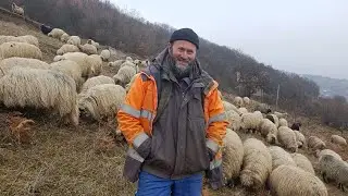 JEDINU GREŠKU SAM NAPRAVIO ŠTO SE NISAM OŽENIO MALO SAM POSTIDAN