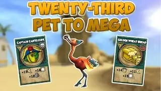 Wizard101: Training My Twenty-Third Pet To Mega