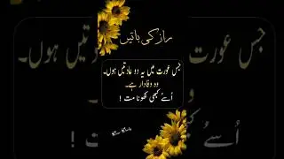 Jise Aurat Mein Ye 2 Adatein Hon || Best Aurat Quotes || Urdu Quotes About Life || Dear Dariy