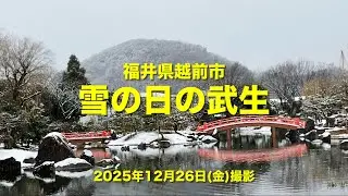 「雪の日の武生」　福井県越前市　2025年12月26日撮影　善光寺通り&rarr;武生町屋&rarr;紫式部公園&rarr;越前たけふ駅前&rarr;武生まちなか