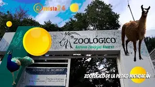 Visitamos el zoológico de la Piedad Michoacán.