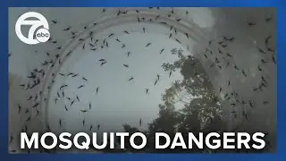 Mosquitos infected with West Nile and Jamestown Canyon viruses found in Washtenaw County
