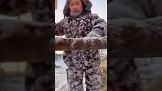 Yakut horse breed / Якутская порода лошадей
