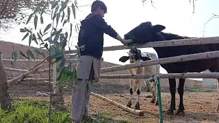 APNY FARM Me GUZARA AIK DIN | OUR FARM VISIT