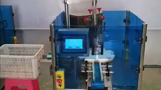 Automatic Particle Chopped Prunes Grated Apples Herb Rotary Measuring Bottle Filling Machine