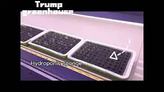 Immersive Experience:Plant Factory