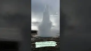 A geyser is a hot spring that periodically erupts with water and steam. #icelandadventure