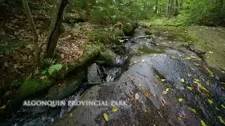 [4K] 1 Hour of White Noise Waterfall | Algonquin Park, Canada | Ambient Backgrounds | Study | Work