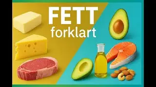 Fettstoffer &ndash; hva er sunt og hva b&oslash;r vi unng&aring;?