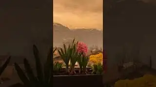 Sahara dust in Switzerland