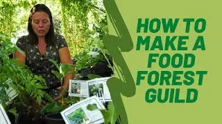 How to Make a Food Forest Guild