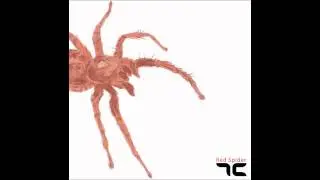 7C - The Bag [Red Spider - 2013]