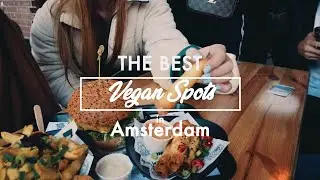 The best vegan spots in Amsterdam | Contiki