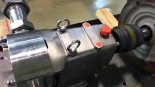 Spin Pompen hygi&euml;nische lobbenpomp @ 1500 RPM CIP