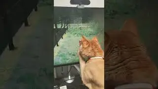 Stupid fucking slut cat thinks video game is real