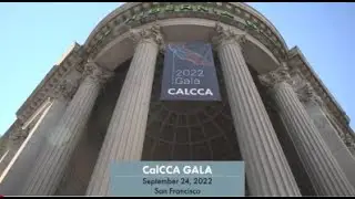 Celebrating 20 Years of CCA