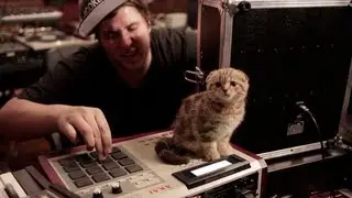 Pretty Lights - The Making of A Color Map of the Sun