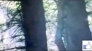Jadu dubbing video