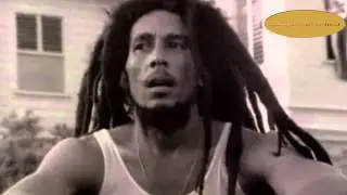 2014 video ★ Ziggy Marley & Stephen Marley - Works To Do