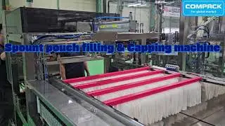 Spout Pouch Filling & Capping Machine | Hygienic Rotary System