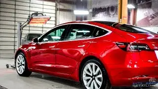 How To PROTECT Your TESLA Model 3