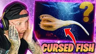 TIMTHETATMAN REACTS TO THE SCARIEST THINGS IN OUR OCEAN