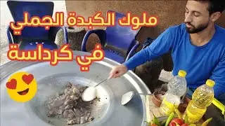 أحلى كبدة جملي في كرداسة يوتيوبرز العرب والخليج بينزلوا عليه 😍