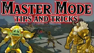 Breath of The Wild Master Mode: Survival tips and helpful info!