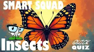 Smart Squad Quick Quiz - Insects