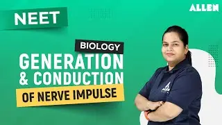Generation & Conduction of Nerve Impulse | Important Topic for NEET 2024 - Biology |@ALLENNEET