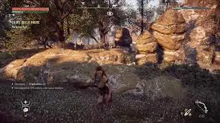 Horizon Zero Dawn