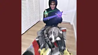 Slidee