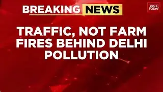 Delhi Pollution: Traffic, Not Stubble Burning, Main Culprit Behind Spikes, Says CSE Study