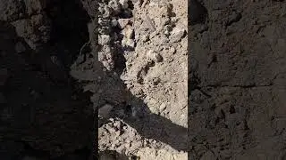 fossil time!