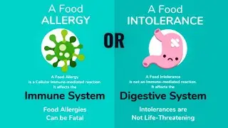 Food Intolerance and Allergies Morphic Field - Gluten, Dairy, Eggs, Peanuts, Wheat, Corn, Fish etc.