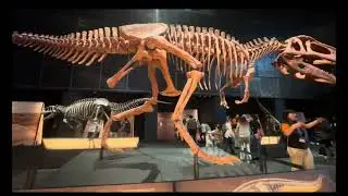 Cosmo Caixa the Science Museum in Barcelona #sciencemuseum  #educational