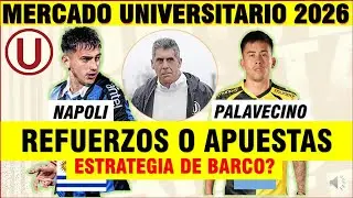 MATIAS PALAVECINO Y GONZALO  NAPOLI REFUERZOS DE UNIVERSITARIO 2026