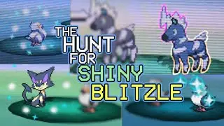 504 - The Hunt For Shiny Blitzle! 4 LIVE reaction Shiny Pokemon in 5th gen!