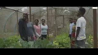 How Microbes Transform Compost into Healthy Soil | The Science of Sustainable Farming