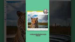 Bellyflop your way to productivity with Web Panels 🤓