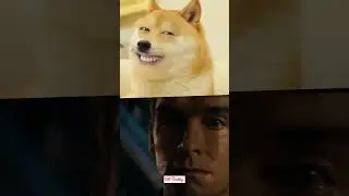 🐶Cheems Funny Dog Death 😢😭😱😔 #cheems #cheemsdog #cheemsdeath #rip #cheemsrip