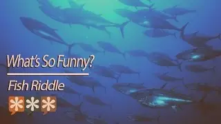 What's So Funny? &ndash; Fish Riddle