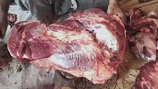 Modern Buffalo Cutting Skill | Amazin Beef Meat Cutting Techniq | Expert Butcher | MK Cutting Skills